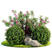 Garden plants collection vol 113