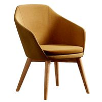 Gayac Armchair