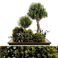 Set Arc Outdoor 002