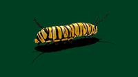 Caterpillar idle