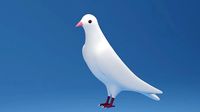 Cartoon Cute Pigeon Dove