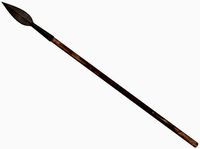 Medieval Spear