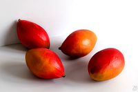 Mango 012