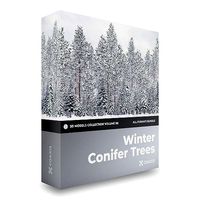 Top 52 Conifer trees