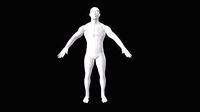 Male Base Mesh