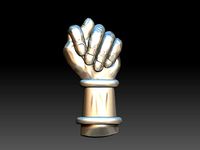 Fig Hand Sign | 3D