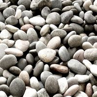 Pebble river low n6