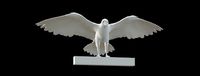 Perched eagle