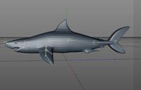 Shark low-poly