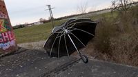 Umbrella