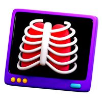 X Rays