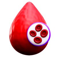 Blood Cells