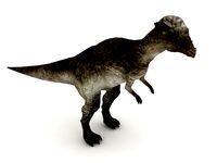 Pachycephalosaurus