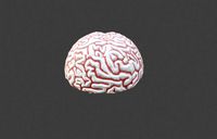 Lowpoly brain