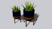Cachepots