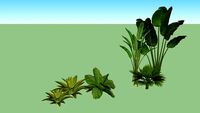 Pianta 08