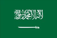 Saudi Arabia flag 3D Model