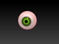 Realistic eye Green 3D Model
