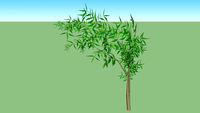 bambu mosso1