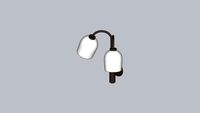 Dual Crux Sconce