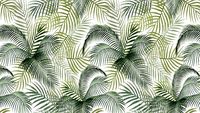Folhagens Samambaia Verde - PA0011