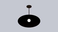Concentric Pendant 20in