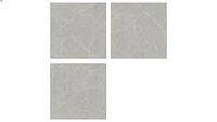 Splendor Griseo Grys - Acetinado - 121 x 121(cm )- (121121PRASGG)