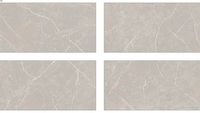 Splendor Griseo 61 x 120 (cm) - (61120PRPSG) - polido
