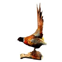 Pheasant 3D Model