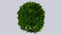 bucho - bookson - bola verde
