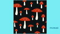 PAPEL DE PAREDE CELULOSE MUSHROOM FUNDO NOITE - MIMOO TOYS