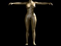Download free Lucy 3D Model