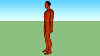 Androide de classe Tuvok mannequin cible