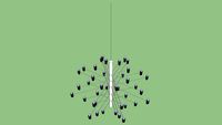 2097/50_FLOS