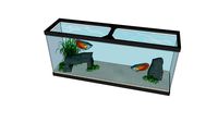50 Gallon Fish Tank