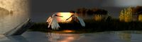 Wetlands