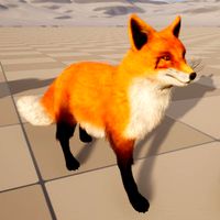Red Fox