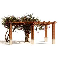 Crape myrtle pergola