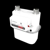 Gas meter