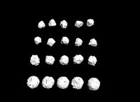 Rock