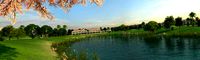 Wetlands