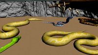 Snake pit