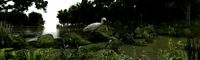 Wetlands