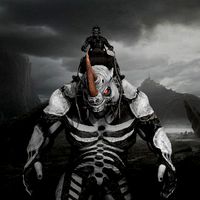 RHINO KING 2in1