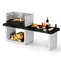 Barbecue 17 (334871)