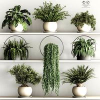 Fitowall  plants in pots 03 (334655)