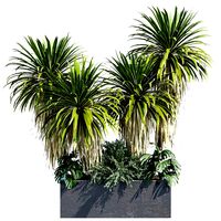 Outdoor Plant 60 (334425)