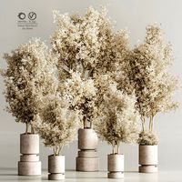 Indoor Plant Dry Plants Set 62 (333600)
