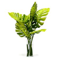 Flower 245 Monstera (332406)