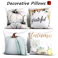Pillows 323 (331906)